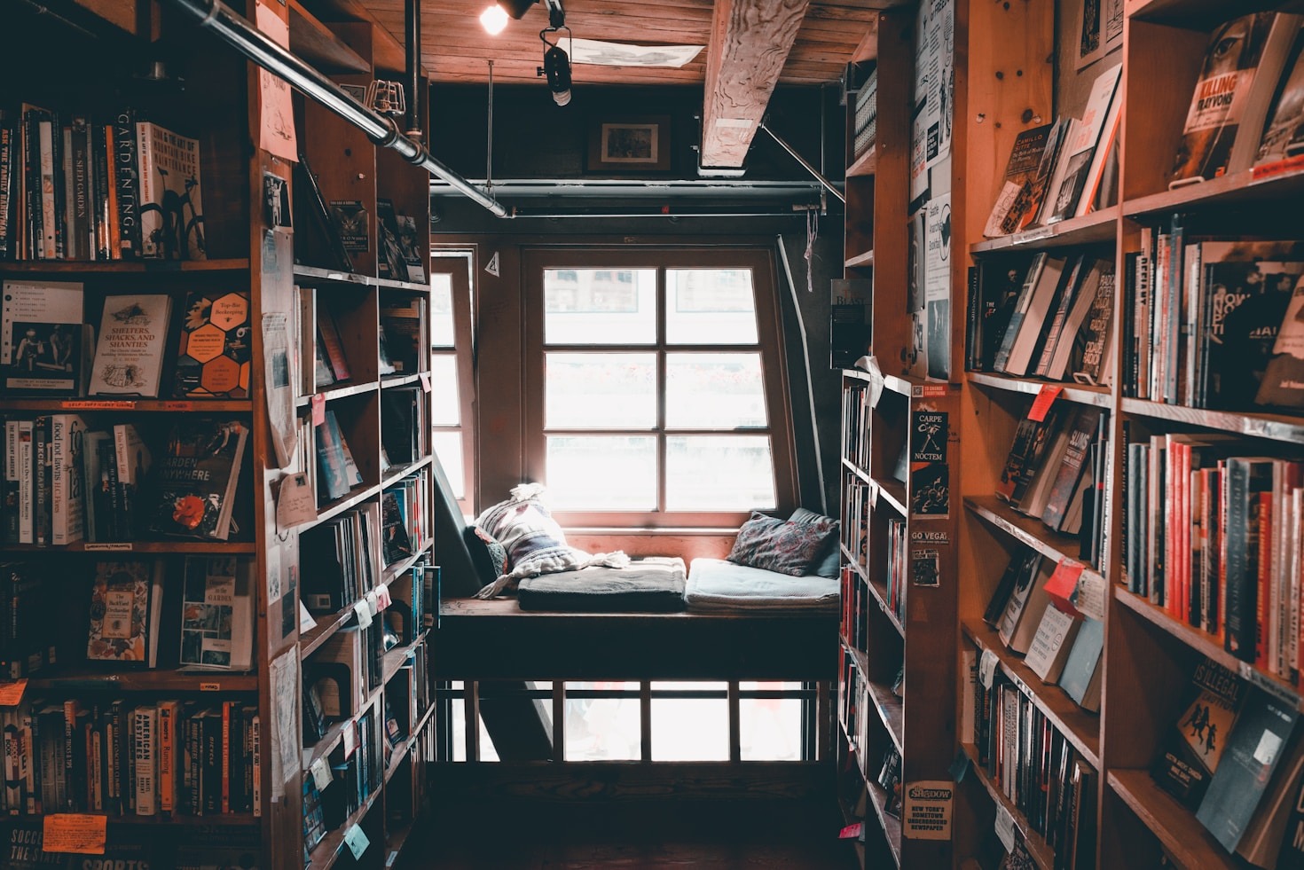 The Creative Process Behind Our Horror Novels